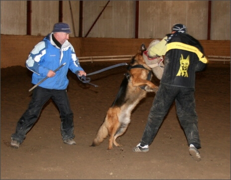 Training in Estonia 11/2007